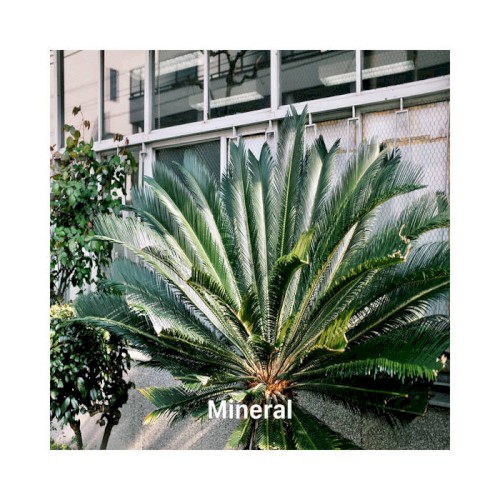Mineral