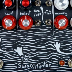 The Swan Hunter