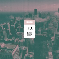 Blocks / Belly