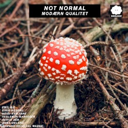 Not Normal – Modærn Qualitet