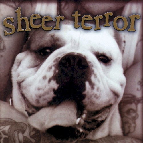 Bulldog Edition