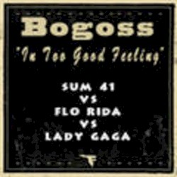 In Too Good Feeling (Flo Rida vs. Sum 41)