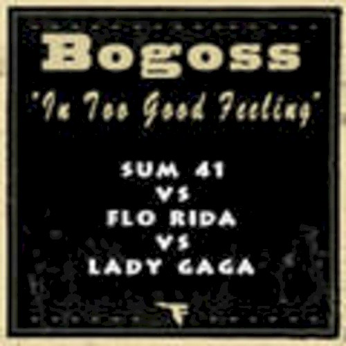 In Too Good Feeling (Flo Rida vs. Sum 41)