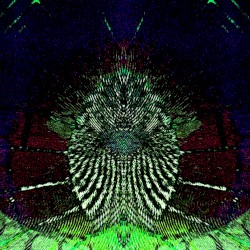 𝙎𝙪𝙨𝙨𝙞𝙨𝙩𝙚𝙣𝙯𝙖