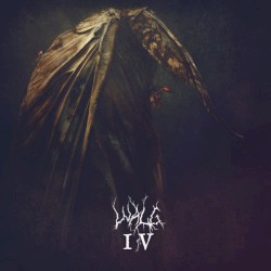 IV