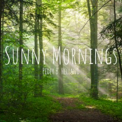 Sunny Mornings