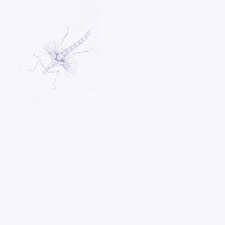 Entomologists