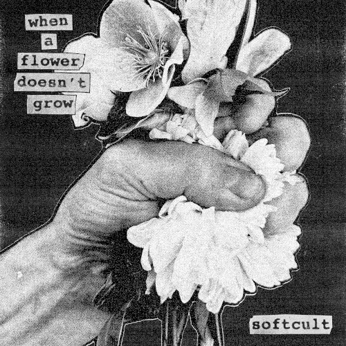 When A Flower Doesn’t Grow