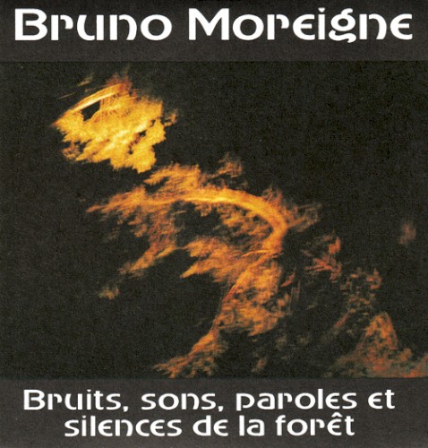 Bruits, sons, paroles et silences de la forêt