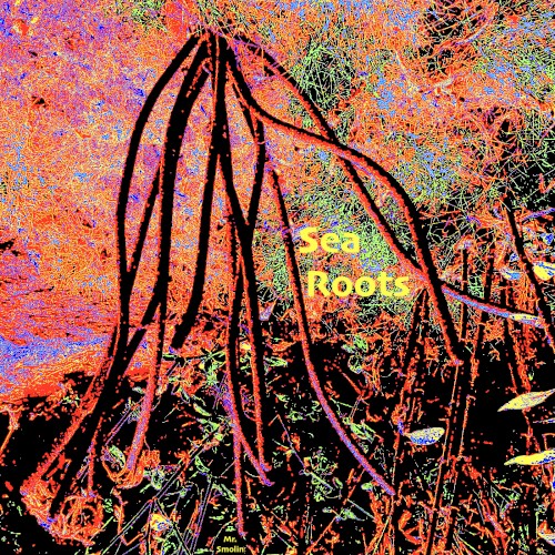Sea Roots