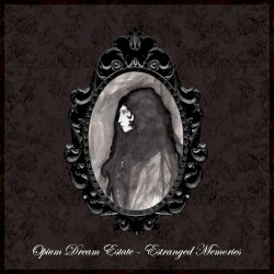 Estranged Memories
