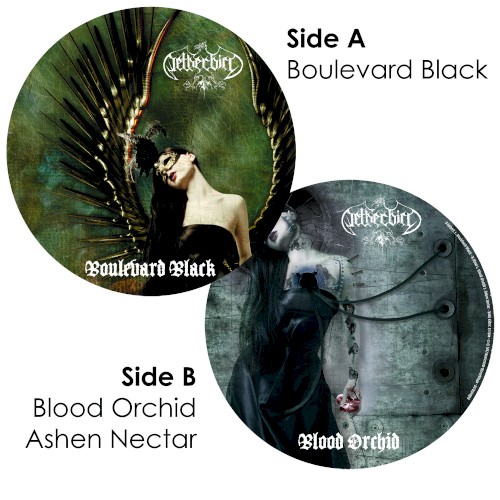Boulevard Black / Blood Orchid