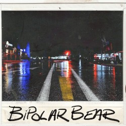 Bipolar Bear