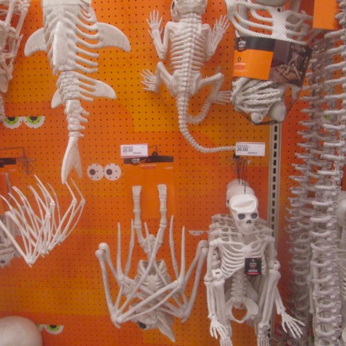 Target During Halloween Season