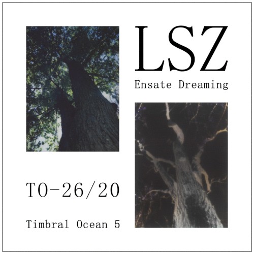 Ensate Dreaming