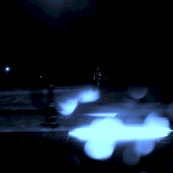 Coalescence