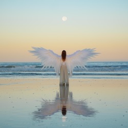 Flying In Love
