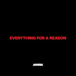 Everything For A Reason