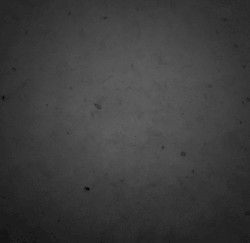 I want to be invisible