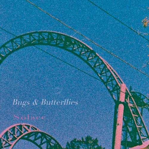 Bugs & Butterflies / Solace