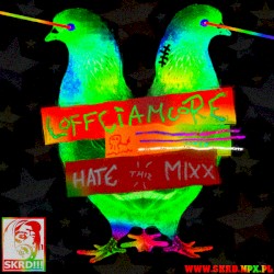 Hate Thiz Mixx