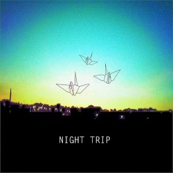 Night Trip
