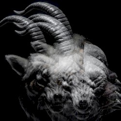 BEAUTIFUL DEFORMITY