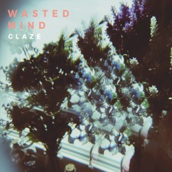 Wasted Mind