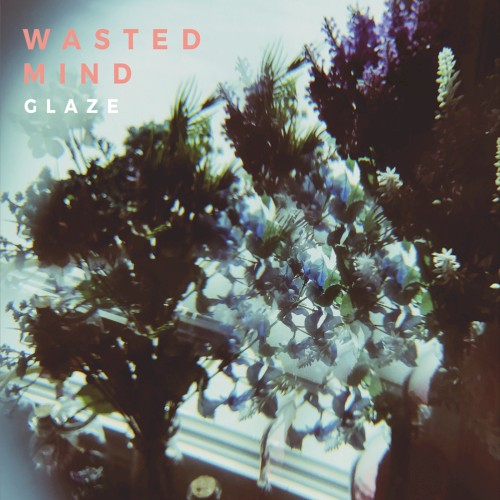 Wasted Mind