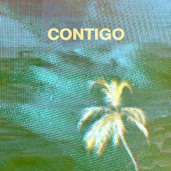 Contigo