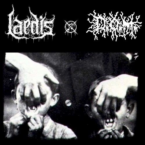 Laedis / D.O.M.