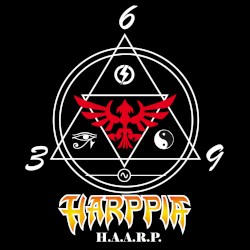 3.6.9. HAARP