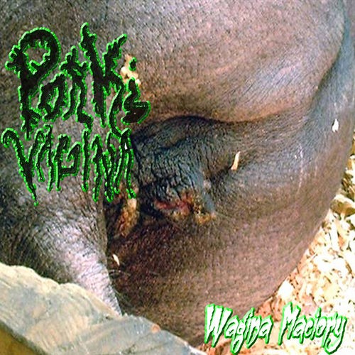 Wagina maciory