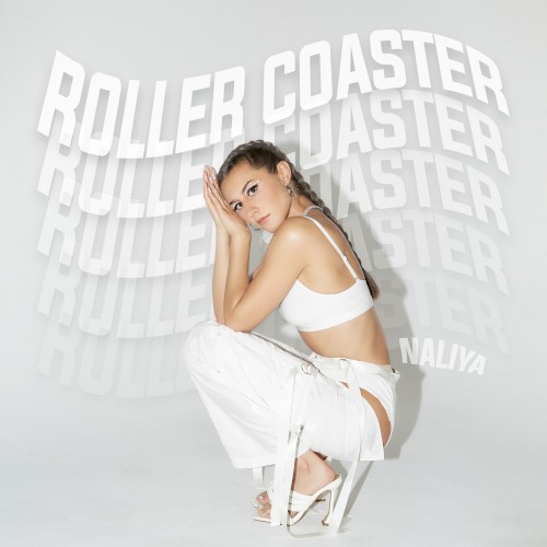 Roller Coaster