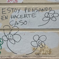 violeta