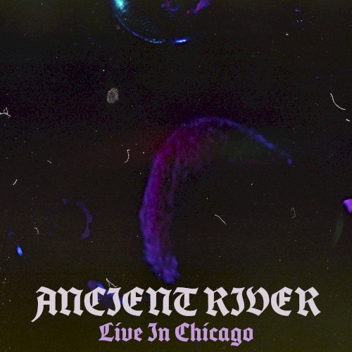 Live in Chicago