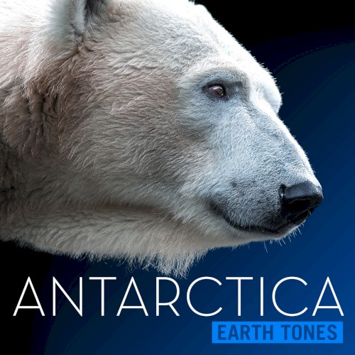 Antarctica