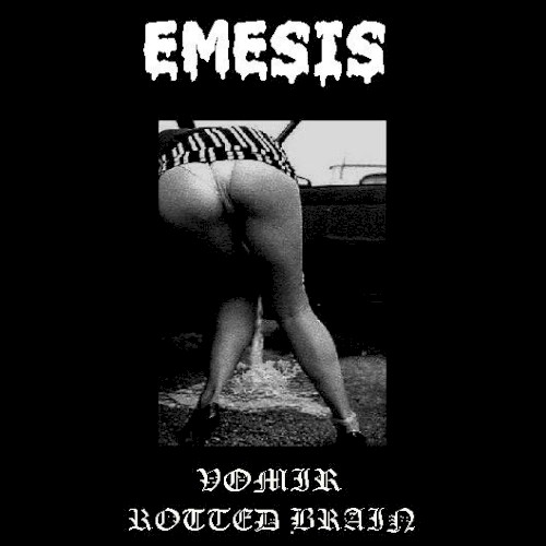 Emesis