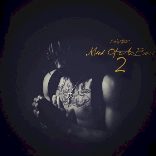 Mind Of A Boss 2