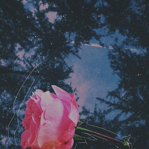 soak thru my mind