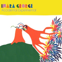 Accidental Experimental