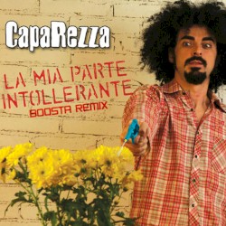 La mia parte intollerante (Boosta remix)