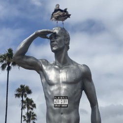 Surfing in the Ocean Cuz I Am a Motha Fuckin Dolphin