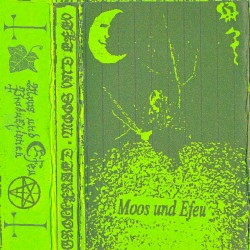 Moos und Efeu