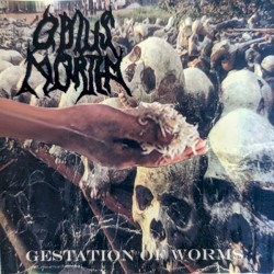 Gestation of Worms