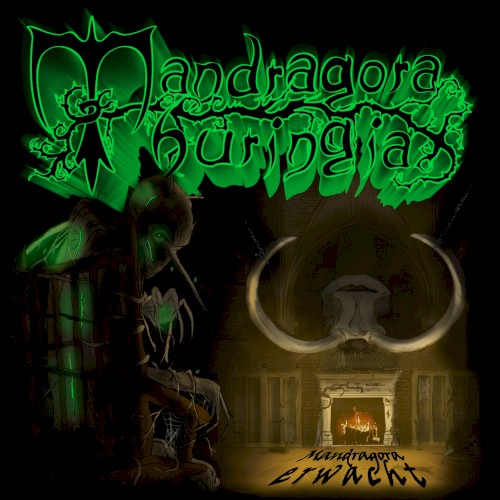 Mandragora erwacht