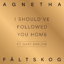 I Should've Followed You Home