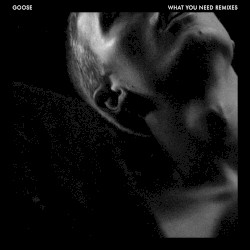 What You Need (Remixes)