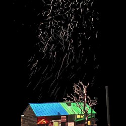 HTB「弁当屋さんのおもてなし」オリジナル・サウンドトラック