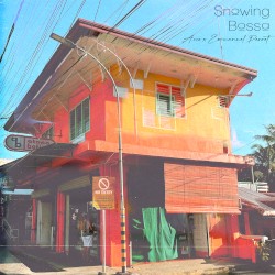 Snowing Bossa